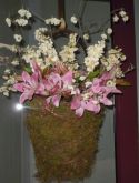 Floral Sconces